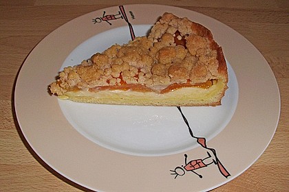 Pudding-Streusel-Kuchen 25