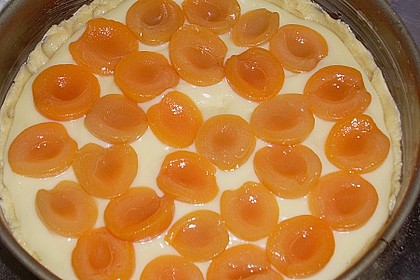 Pudding-Streusel-Kuchen 114