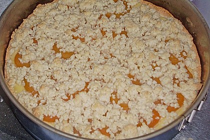 Pudding-Streusel-Kuchen 89