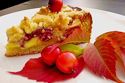 Pudding-Streusel-Kuchen 76