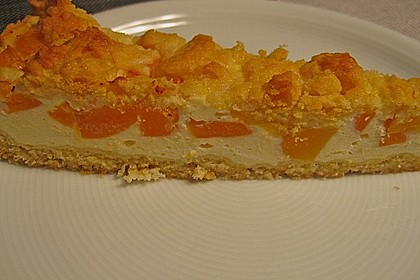 Pudding-Streusel-Kuchen 20