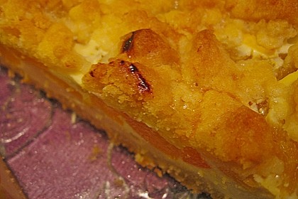 Pudding-Streusel-Kuchen 131