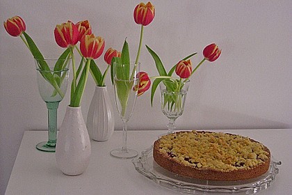 Pudding-Streusel-Kuchen 91