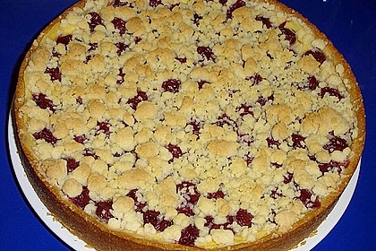 Pudding-Streusel-Kuchen 2
