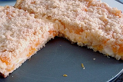 Pudding-Streusel-Kuchen 67