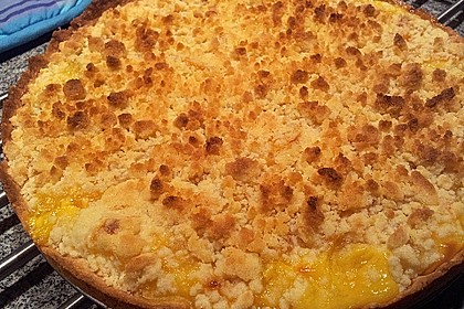 Pudding-Streusel-Kuchen 119
