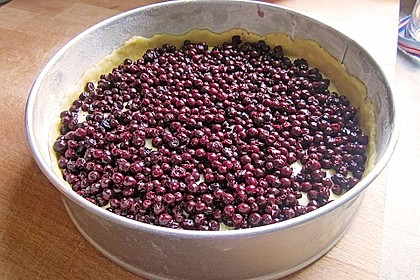 Pudding-Streusel-Kuchen 142