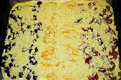 Pudding-Streusel-Kuchen 135