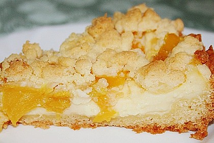 Pudding-Streusel-Kuchen 17