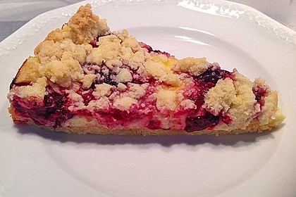 Pudding-Streusel-Kuchen 13