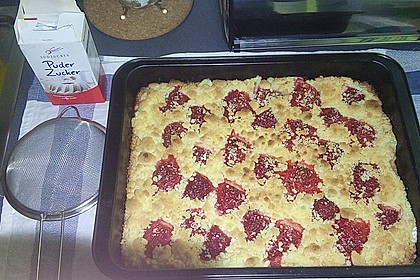 Pudding-Streusel-Kuchen 41