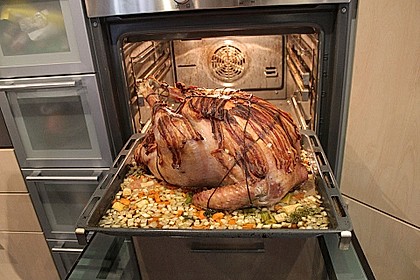 Koelkasts Weihnachtsputer 14