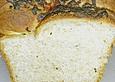 K&auml;se - Zwiebel Brot