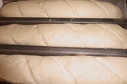 Baguette &aacute; la Koelkast 114
