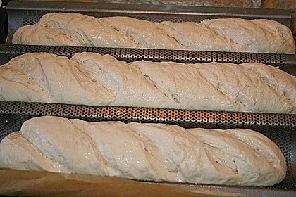 Baguette &aacute; la Koelkast 120