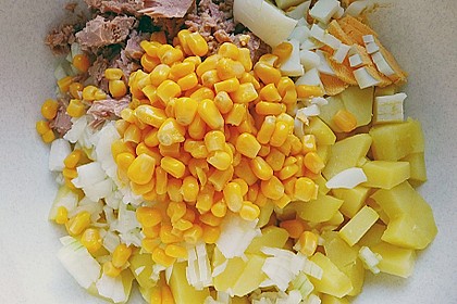 Russischer Thunfischsalat 6