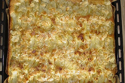 Apfelkuchen 9