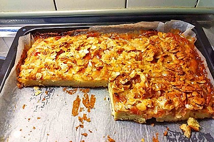 Apfelkuchen 42