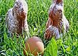 Osterl&auml;mmchen