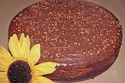 Schokoladenkuchen 21