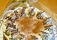 Cappuccino - Torte