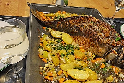 R&uuml;gener Karpfen 4
