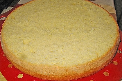 Biskuitboden für Torten und Kuchen 8