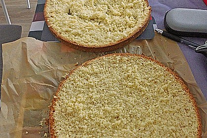 Biskuitboden für Torten und Kuchen 7