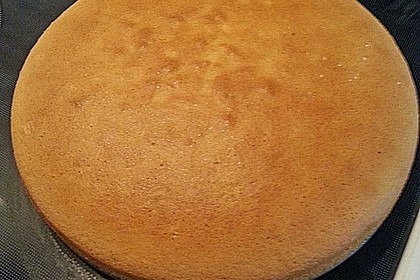 Biskuitboden für Torten und Kuchen 24