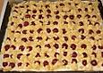 Blech - Kirsch - K&auml;se - Kuchen mit Streuseln
