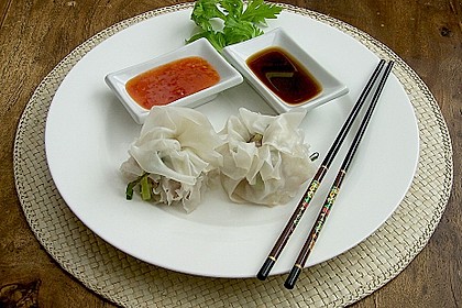 Dim Sum - ged&auml;mpfte, chinesische Kl&ouml;&szlig;chen in Reispapier