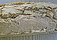 Bananen - Walnuss Kuchenbrot Shirvan