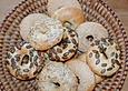 Bagel