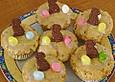 Oster - Muffin
