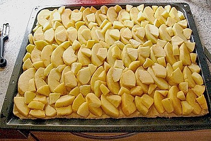 Apfel - Streuselkuchen vom Blech 38