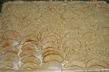 Apfel - Streuselkuchen vom Blech 42
