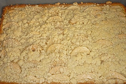 Apfel - Streuselkuchen vom Blech 27