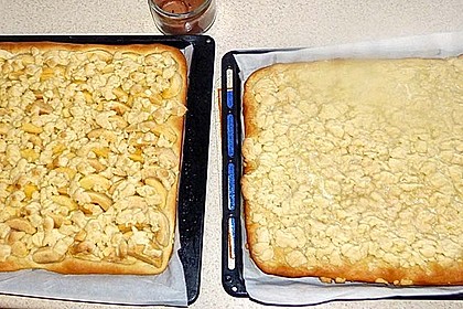 Apfel - Streuselkuchen vom Blech 25