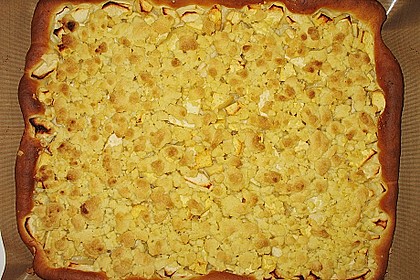 Apfel - Streuselkuchen vom Blech 22