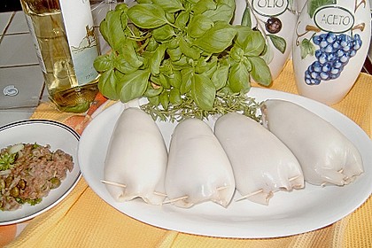 Mein gef&uuml;llter Tintenfisch 1