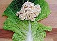 Vegetarische Wirsingr&ouml;llchen in Zitronen - Kapernsauce