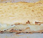 Baumkuchen (Bild)