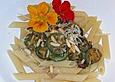 Penne mit Zucchini