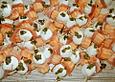 Mozzarella mit Melone
