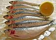 Gebackene kleine Fische