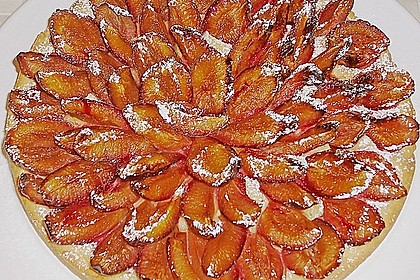Pflaumenkuchen 26