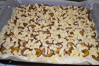 Pflaumenkuchen 50