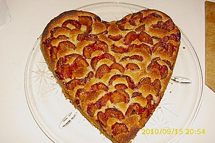 Pflaumenkuchen 45