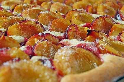 Pflaumenkuchen 18