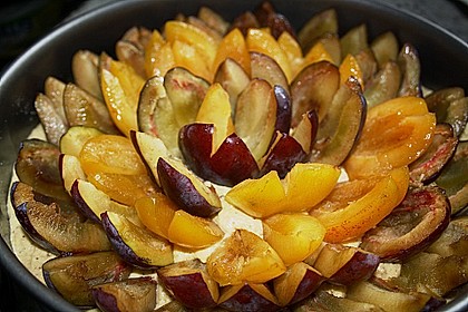 Pflaumenkuchen 51